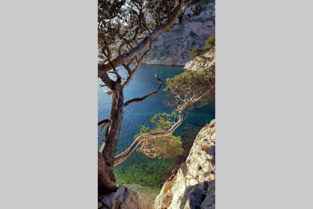 Suite Sur La Mer Marseille Corniche Exteriér fotografie